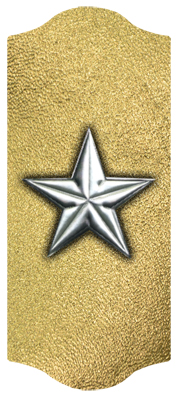 DARAY C 430 SL GD Star Silver Gold